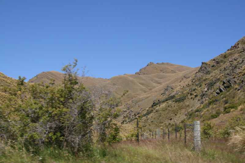 Nieuw-Zeeland 2011 - 1615